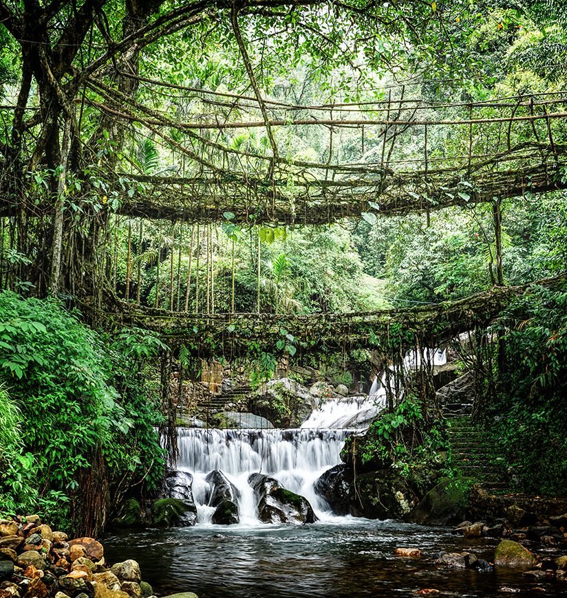 Cherrapunjee meghalaya view